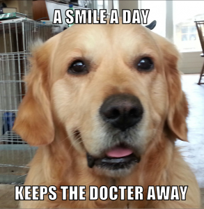 a smile a day